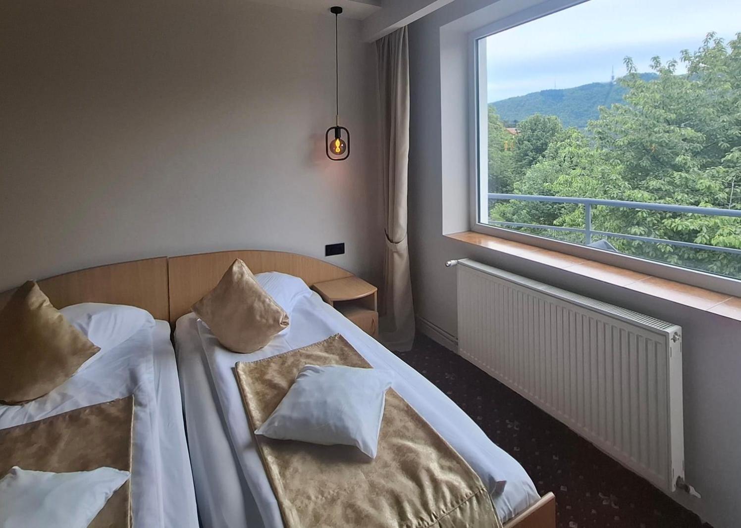 Pensiunea Warthe Guest house
