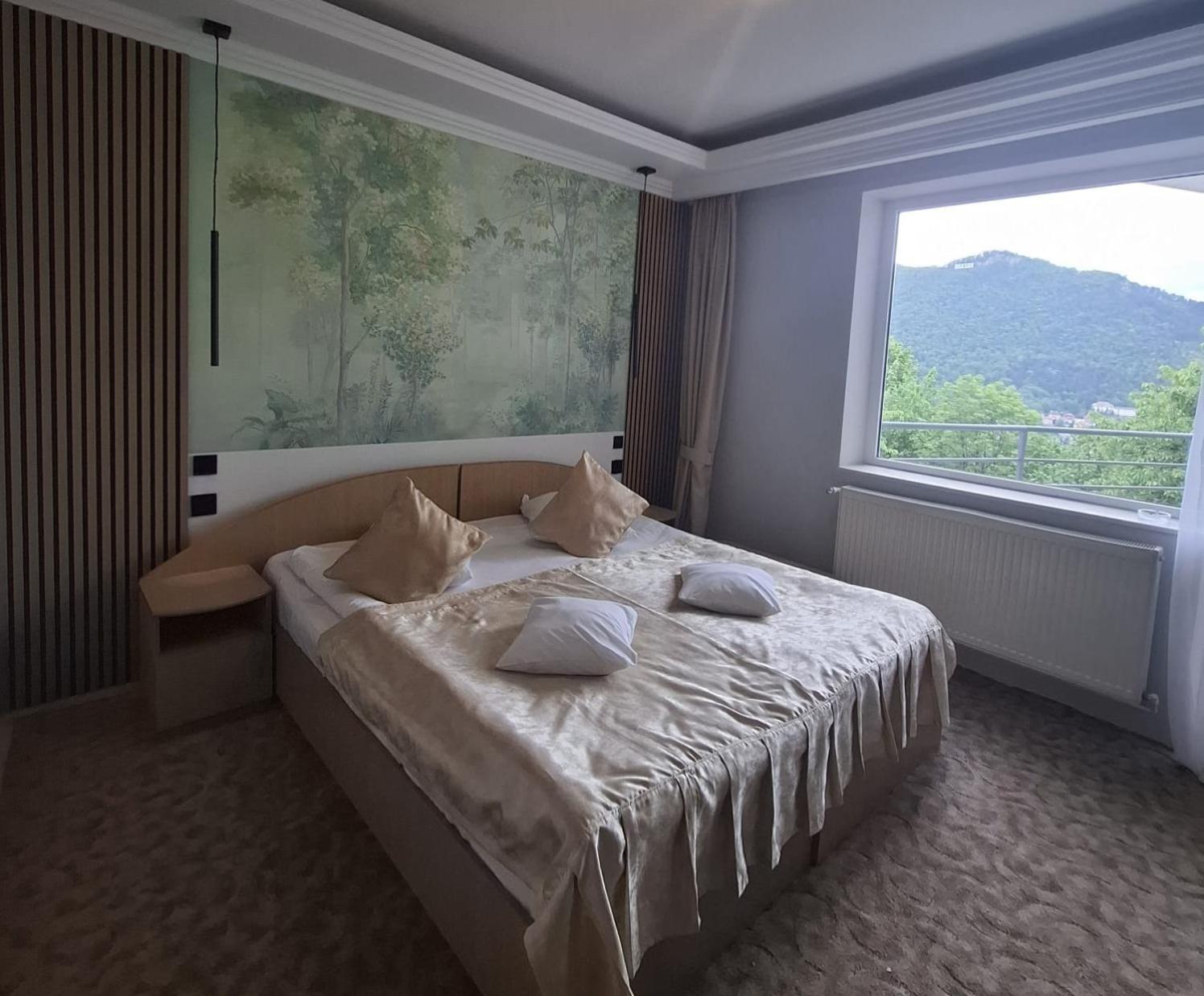 Guest house Pensiunea Warthe 3*