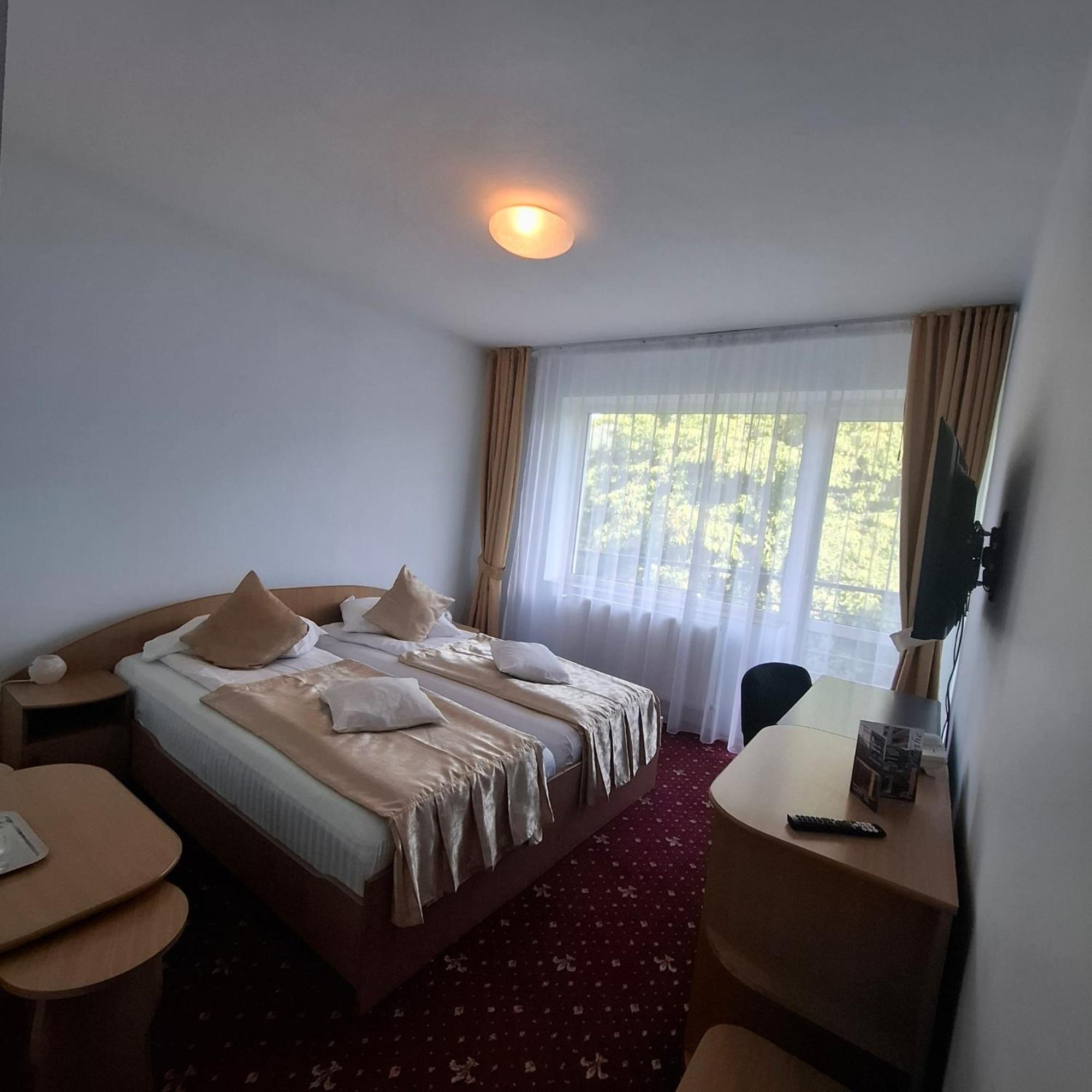 Pensiunea Warthe Guest house 3*