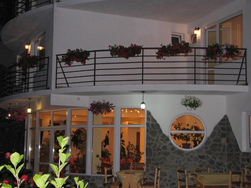Pensiunea Warthe Guest house