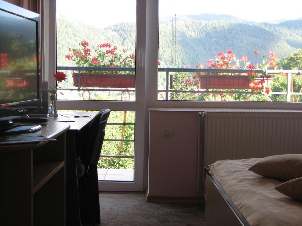 Pensiunea Warthe Guest house 3*