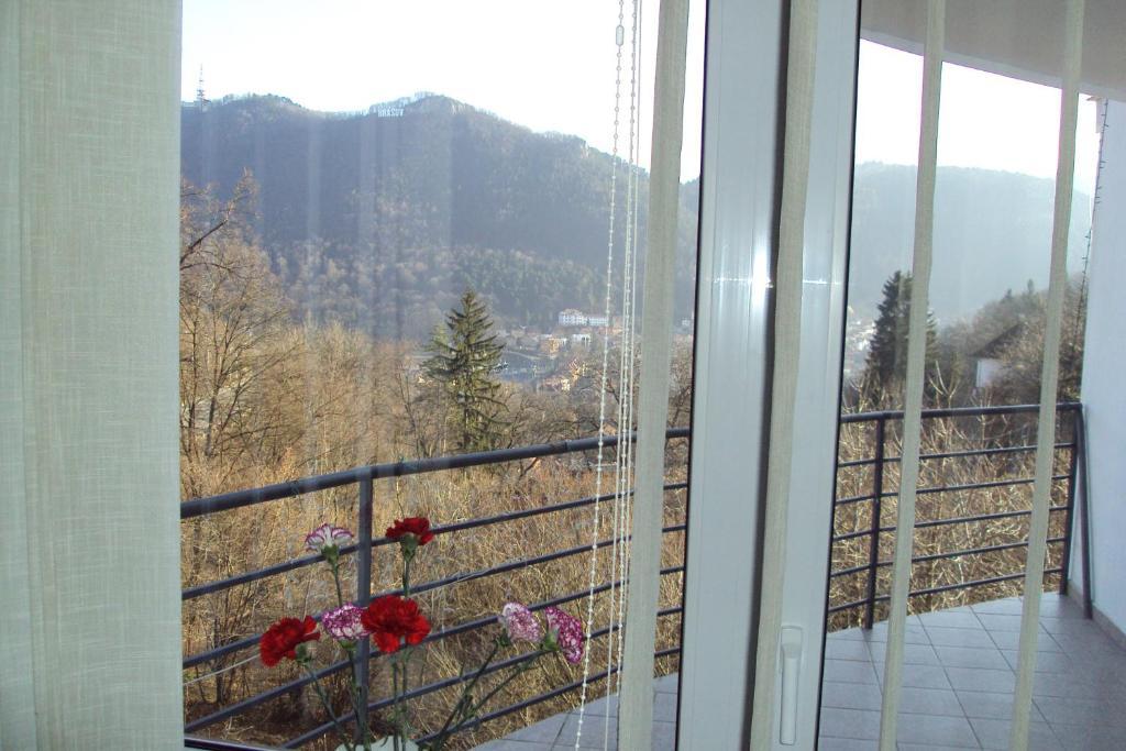 Guest house Pensiunea Warthe