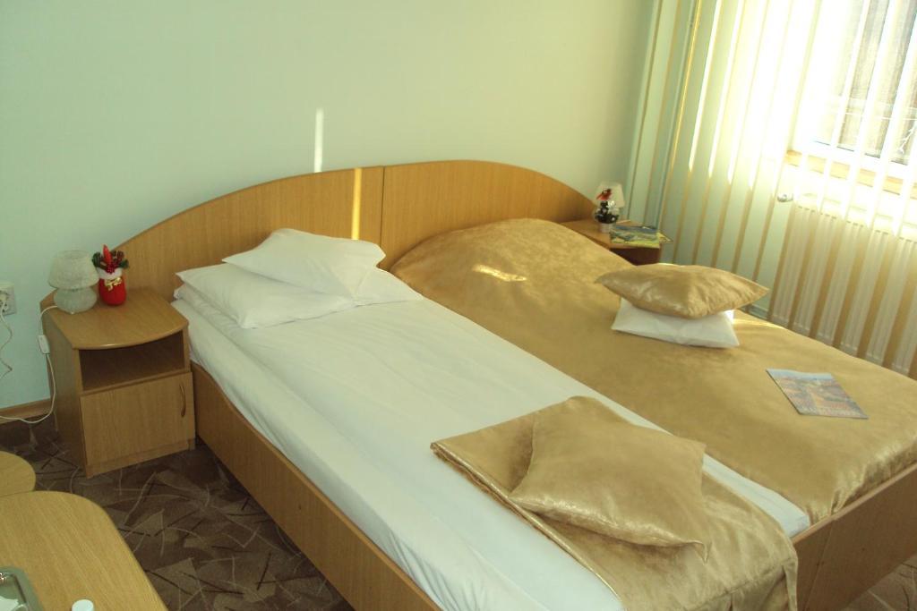 Guest house Pensiunea Warthe