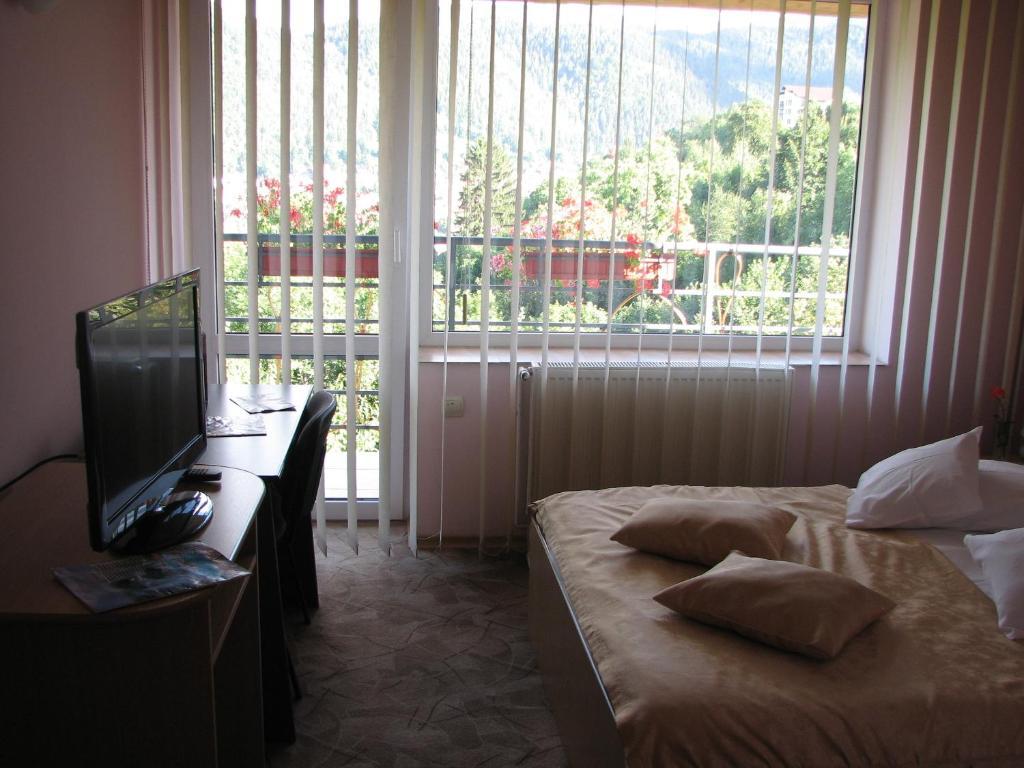 Guest house Pensiunea Warthe