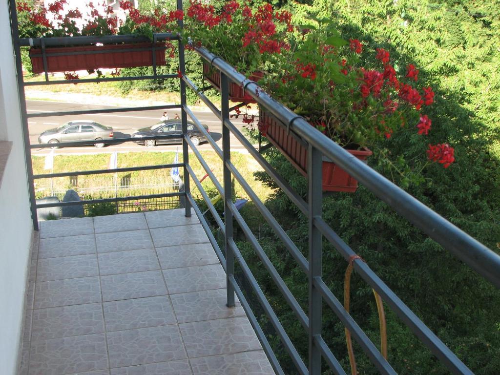 Pensiunea Warthe 3*