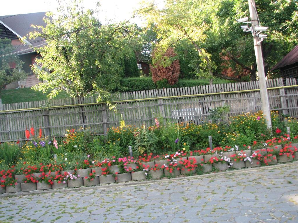 Guest house Pensiunea Warthe 3*