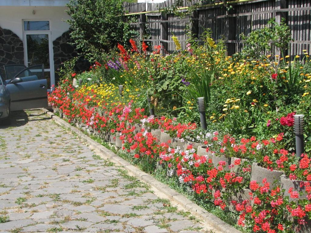 Pensiunea Warthe Guest house Brasov